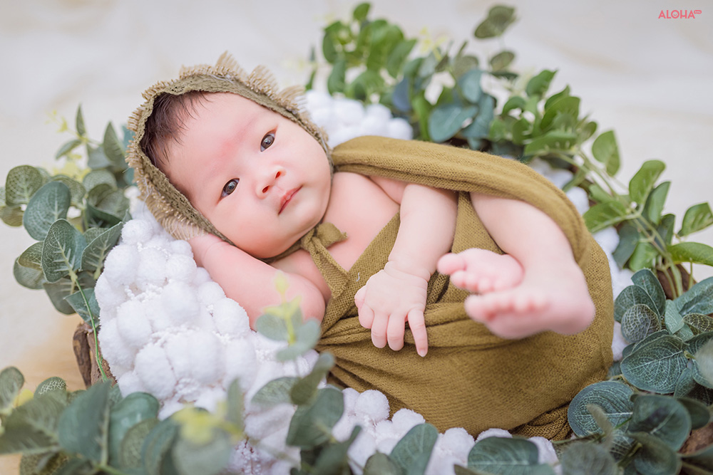 album ảnh newborn 14